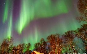 Susitna River Lodging, Suites
