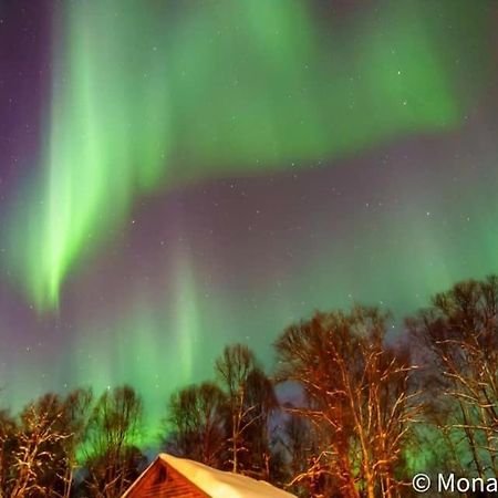 Susitna River Lodging, Suites Talkeetna Exterior photo