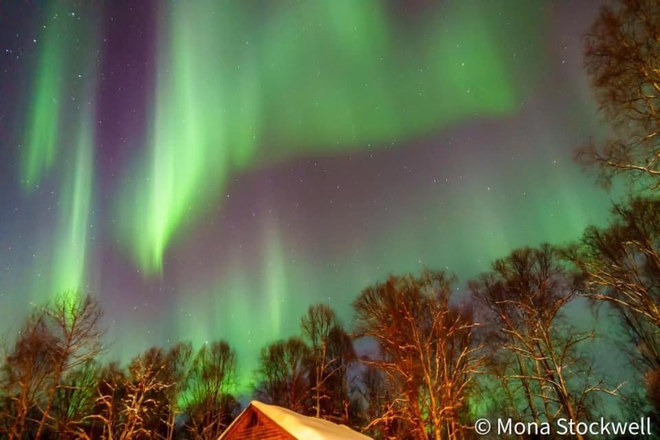 Susitna River Lodging, Suites Talkeetna Exterior photo